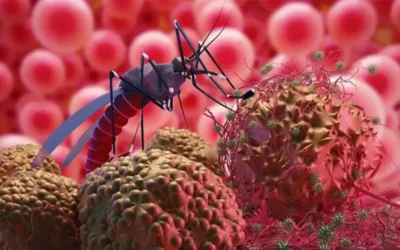 Batı Nil Virüsü Nedir?