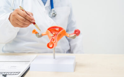 Mesane Kanseri Nedir, Belirtileri Nelerdir?